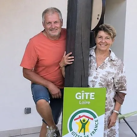 Climatisé Avec Terrasse - 4 Pers. - Fr-1-496-423 Saint-Rambert-sur-Loire